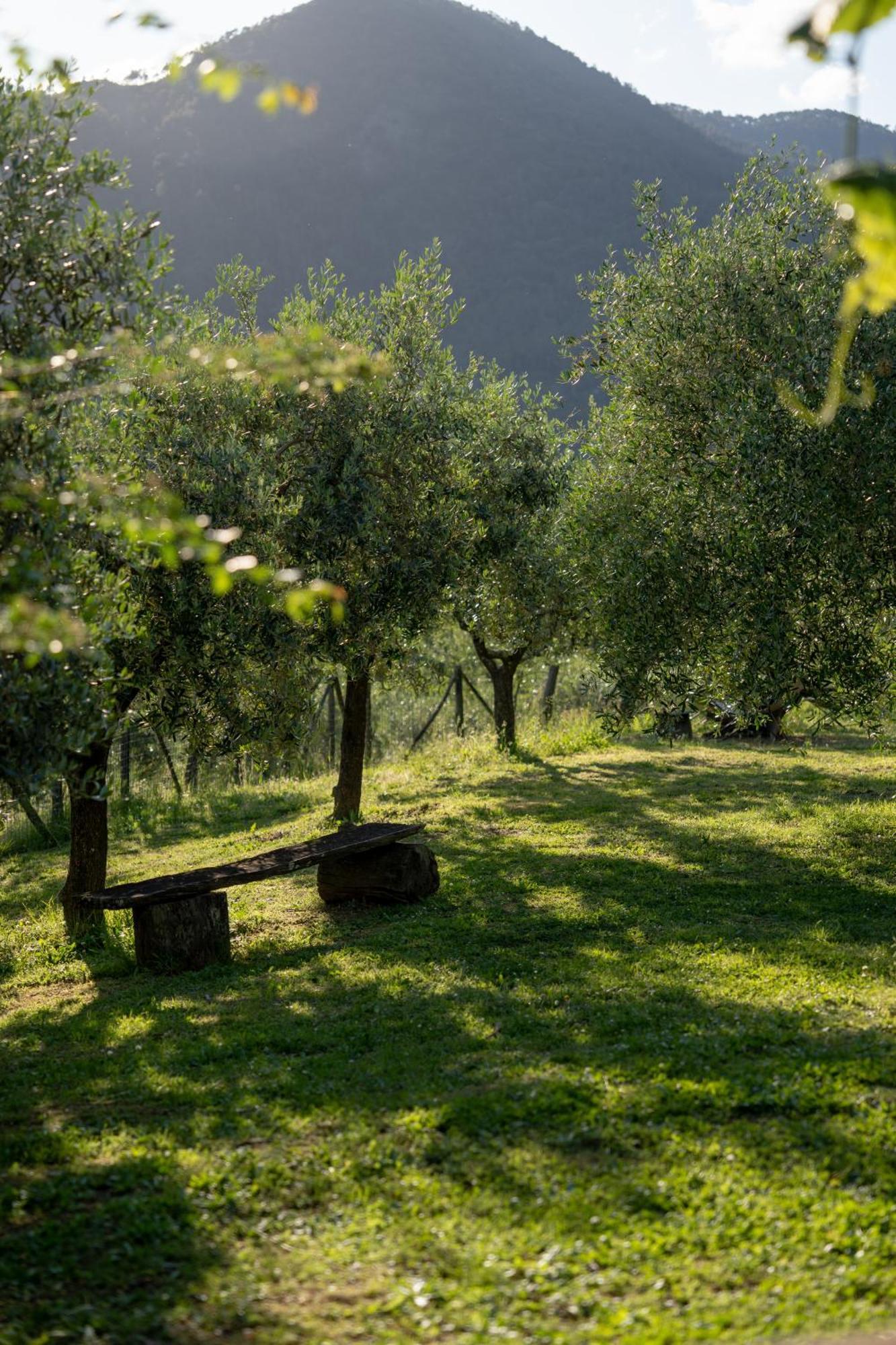 Agriturismo I Due Ghiri - Cinque Terre Calice al Cornoviglio Dış mekan fotoğraf
