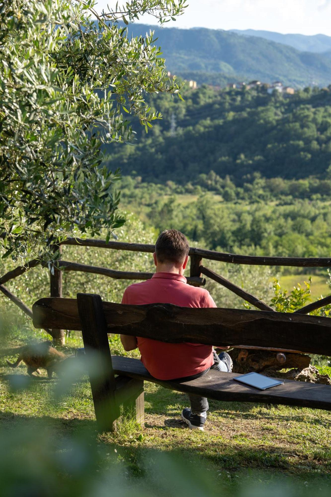 Agriturismo I Due Ghiri - Cinque Terre Calice al Cornoviglio Dış mekan fotoğraf